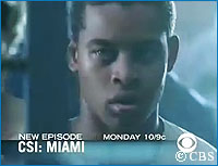 CSI: Miami  48 Hours To Life