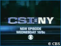 'CSI: New York' Logo - copyright CBS